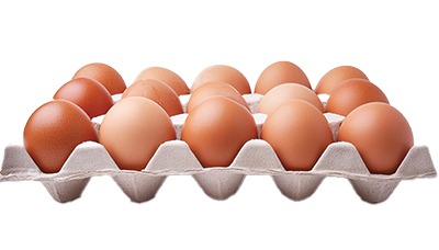 eggs